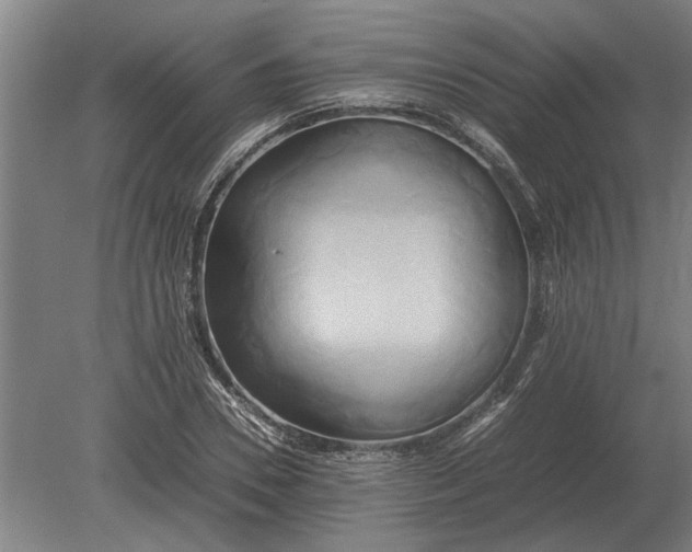 X0000080800930200701051415