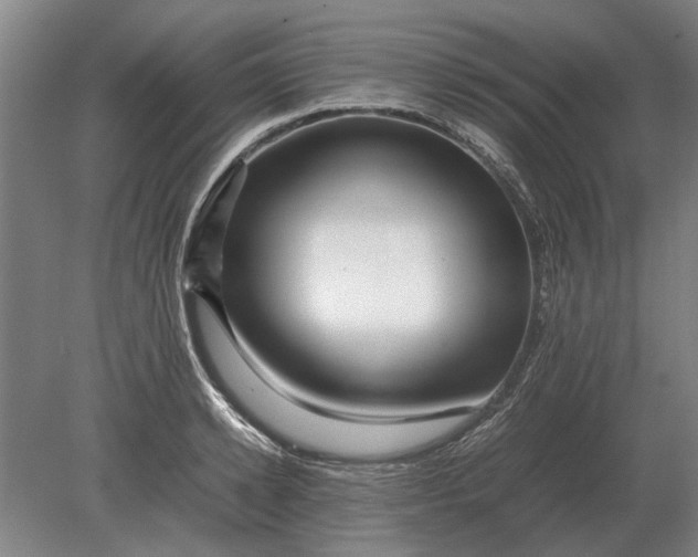 X0000080800942200701051416
