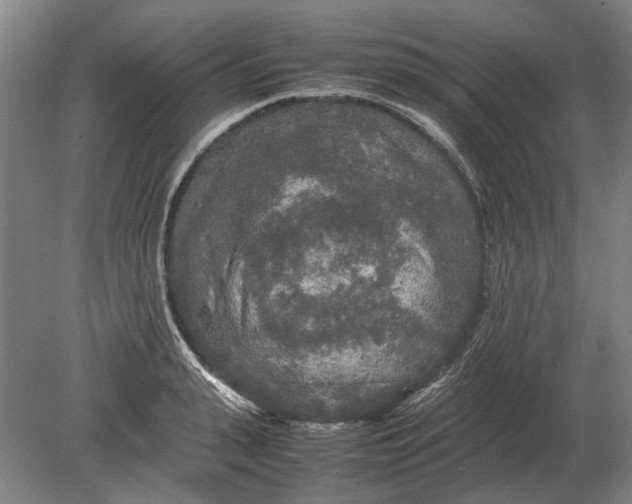 X0000080800943200701051416