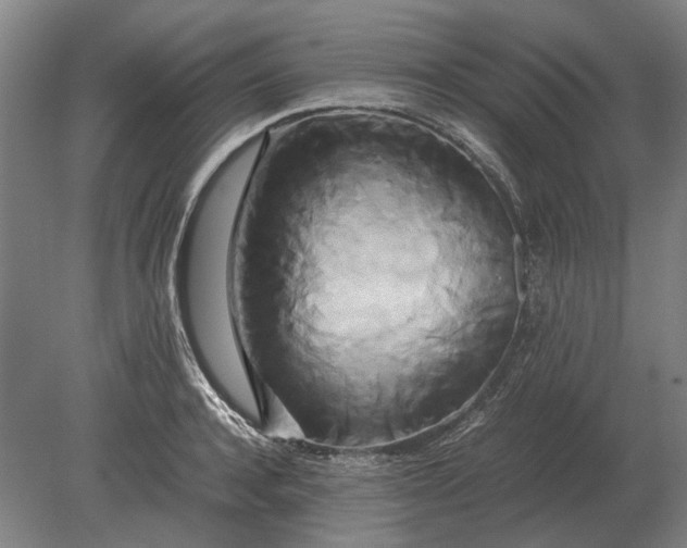 X0000080800944200701051416