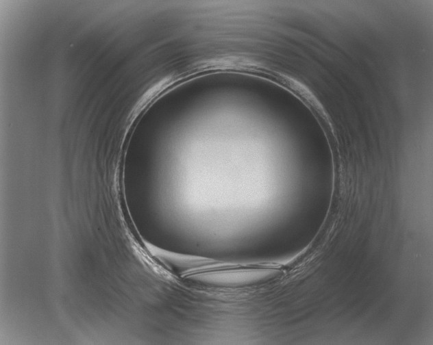X0000080800946200701051416