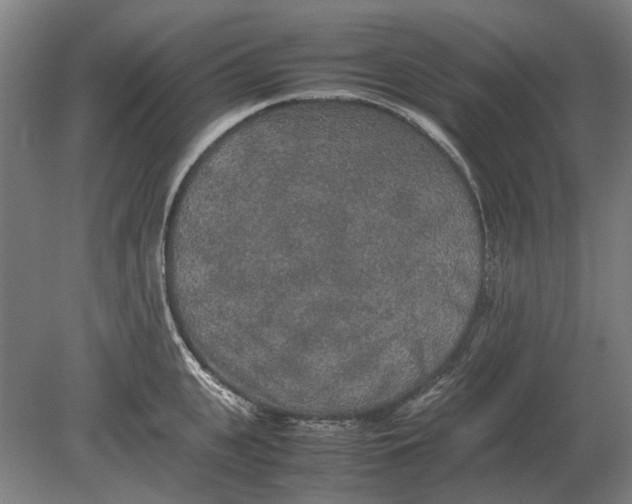 X0000080800951200701051416