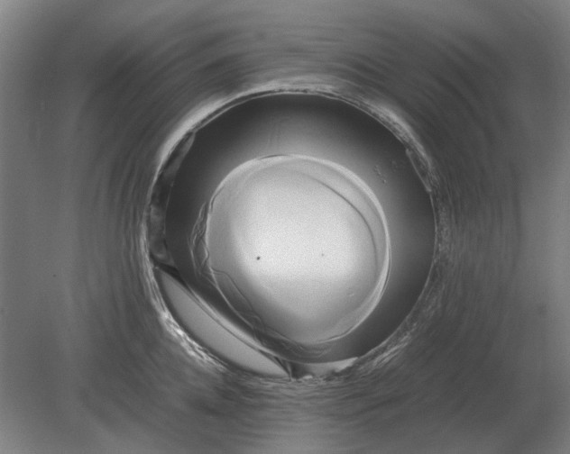 X0000080800952200701051416