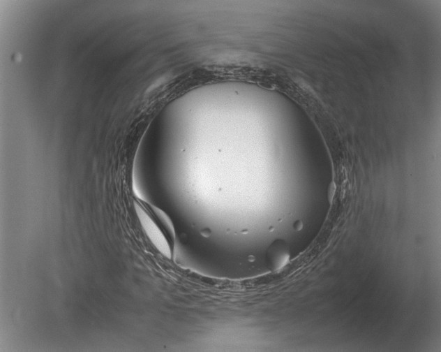 X0000080800965200701051415