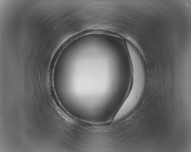 X0000080800976200701051415