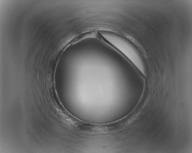 X0000080800977200701051415