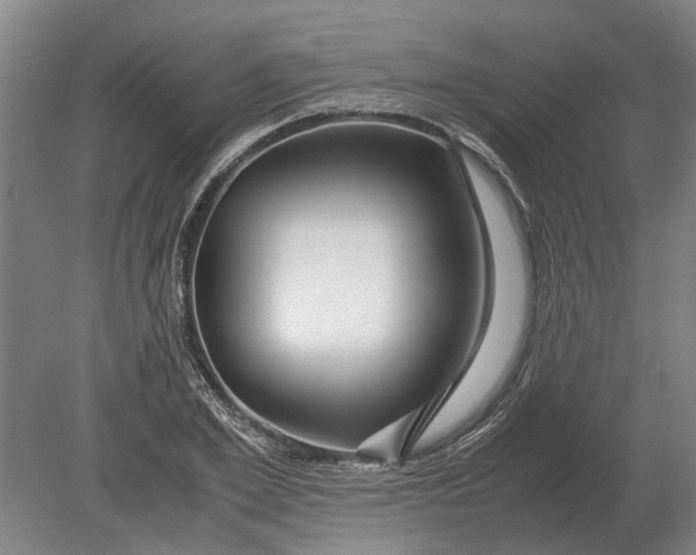 X0000080800981200701051415