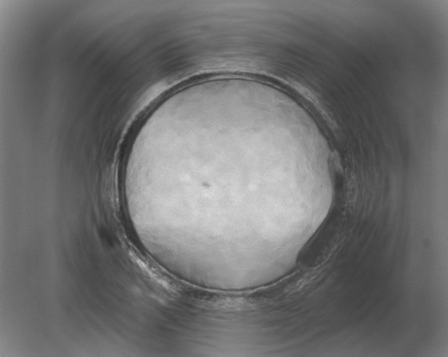 X0000080800982200701051415