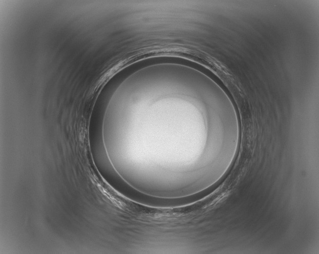 X0000080800985200701051415