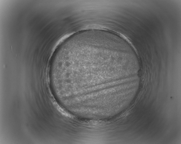 X0000080800987200701051415