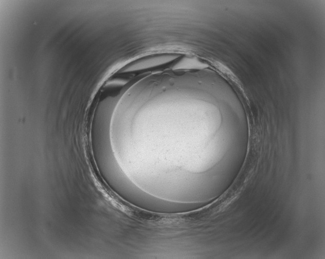 X0000080800989200701051415