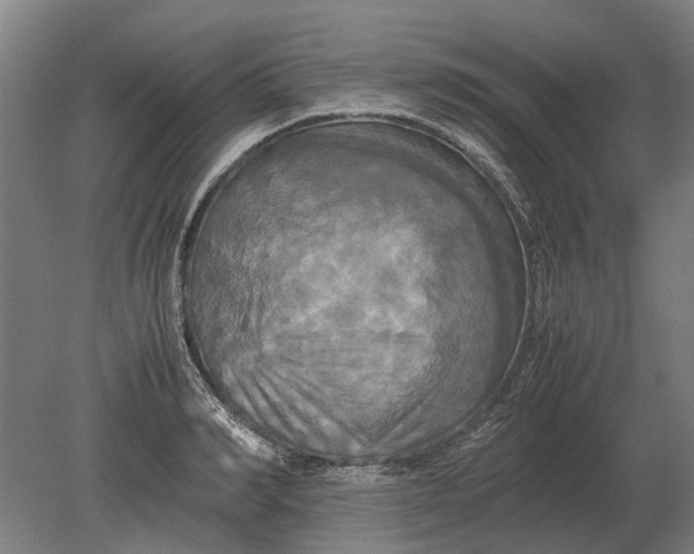 X0000080800990200701051415