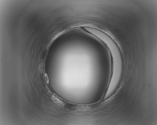 X0000080801001200701051414