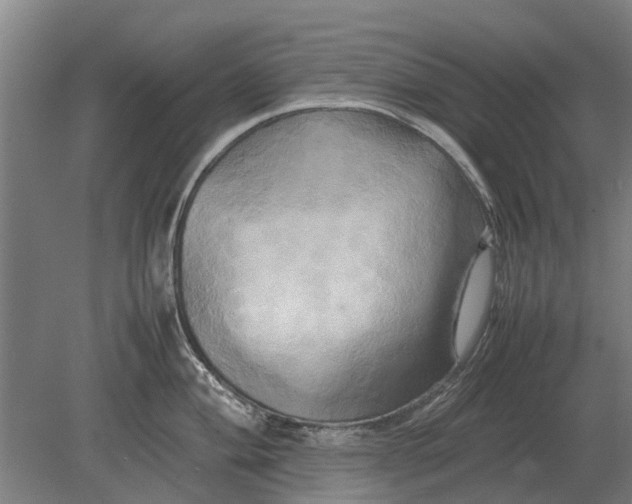 X0000080801004200701051414