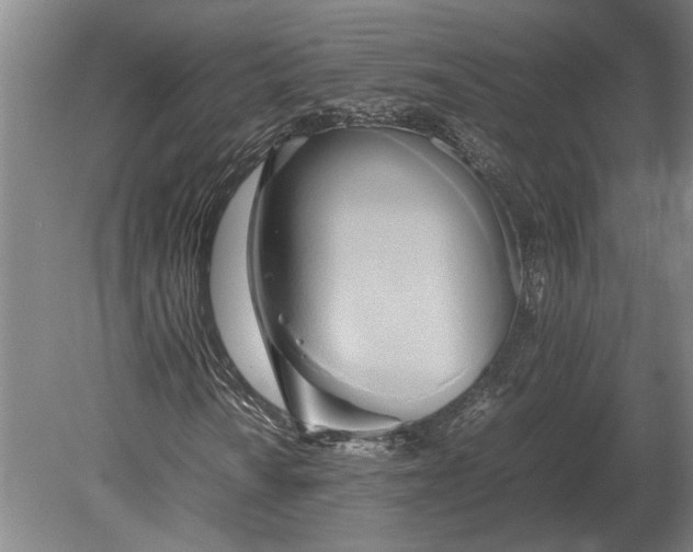 X0000080801010200701051414