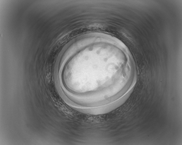 X0000080801015200701051414