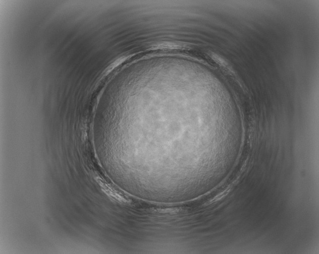 X0000080801017200701051414