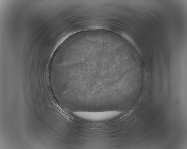 X0000080801023200701051414