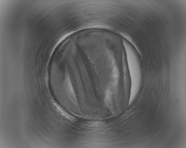 X0000080801024200701051414