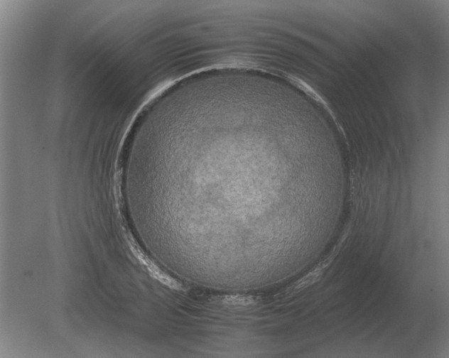 X0000080801029200701051414