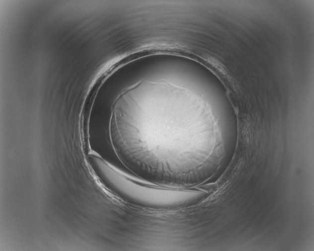 X0000080801030200701051414