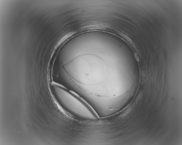 X0000080801034200701051414