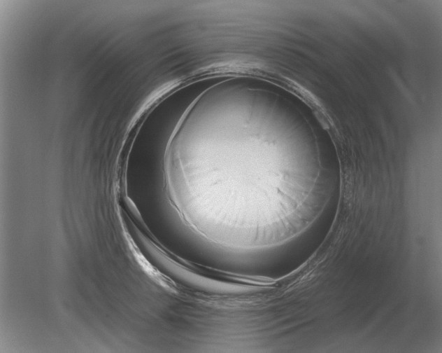 X0000080801042200701051414