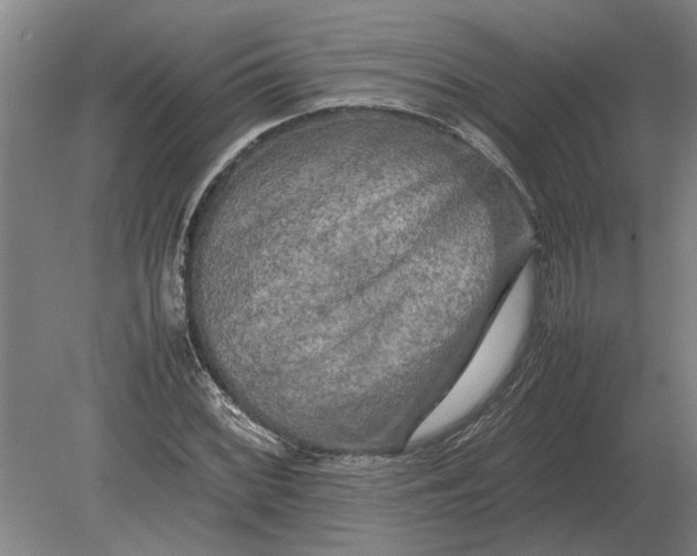 X0000080801068200701051413