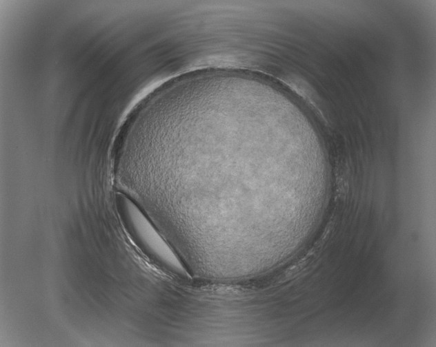 X0000080801070200701051413