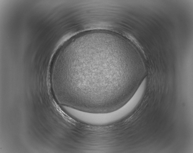 X0000080801072200701051413