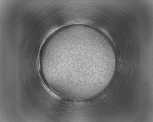 X0000080801080200701051413