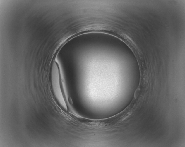 X0000080801081200701051413