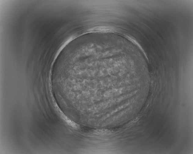 X0000080801091200701051413
