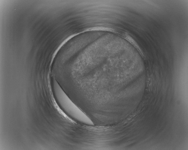 X0000080801092200701051413