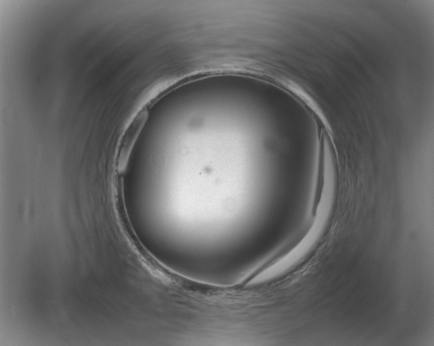 X0000080801093200701051413
