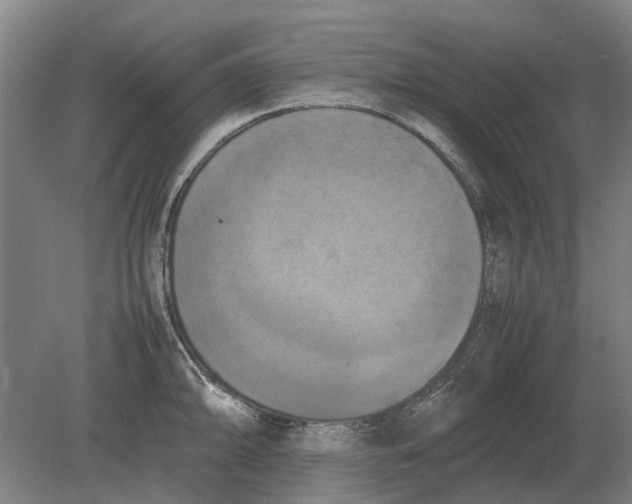 X0000080801094200701051413