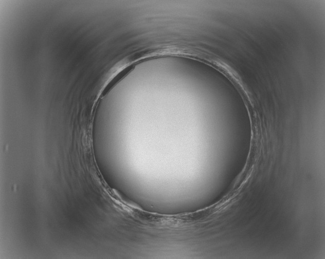 X0000080801097200701051413