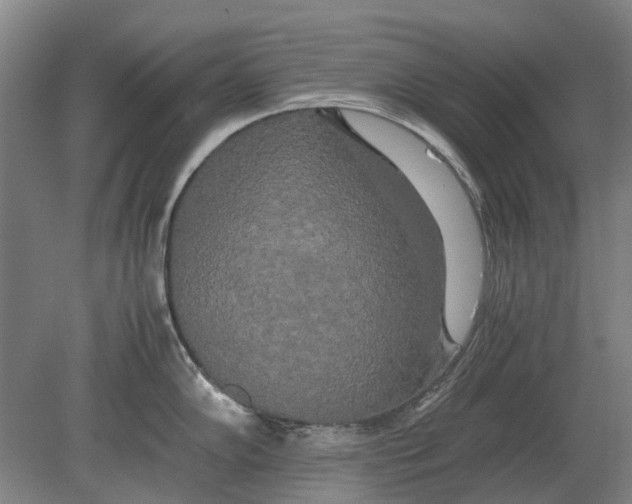 X0000080801102200701051413