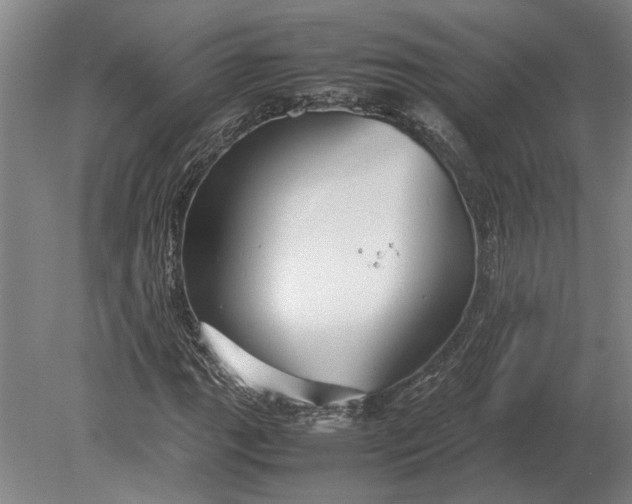 X0000080801111200701051412