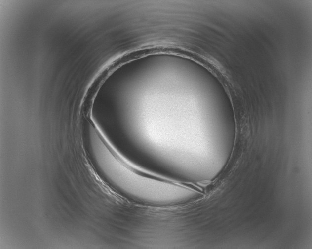 X0000080801118200701051412