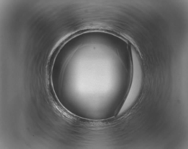 X0000080801120200701051412