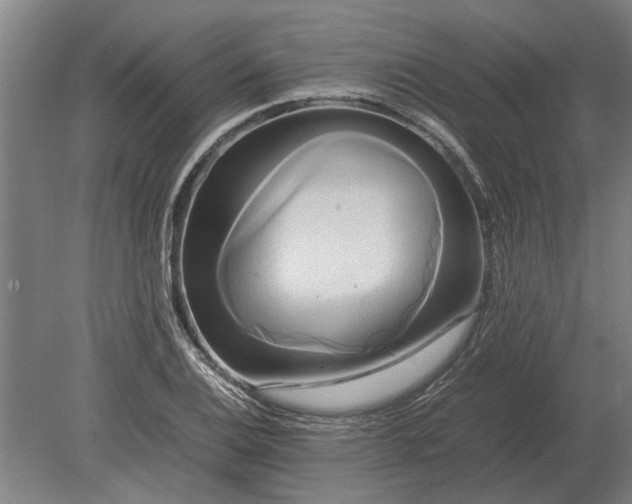 X0000080801124200701051412