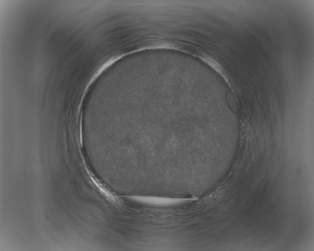 X0000080801127200701051412