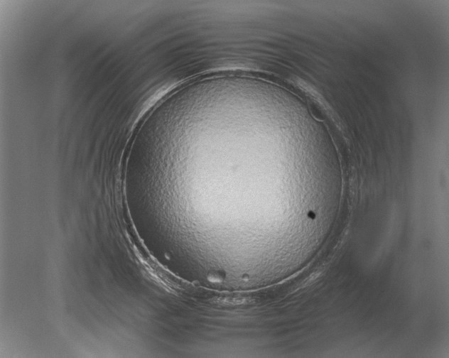 X0000080801129200701051412