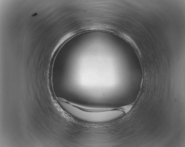 X0000080801138200701051412