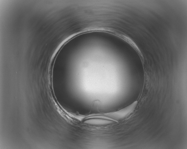 X0000080801148200701051413
