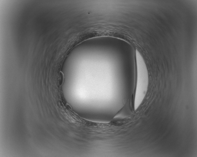 X0000080801153200701051412