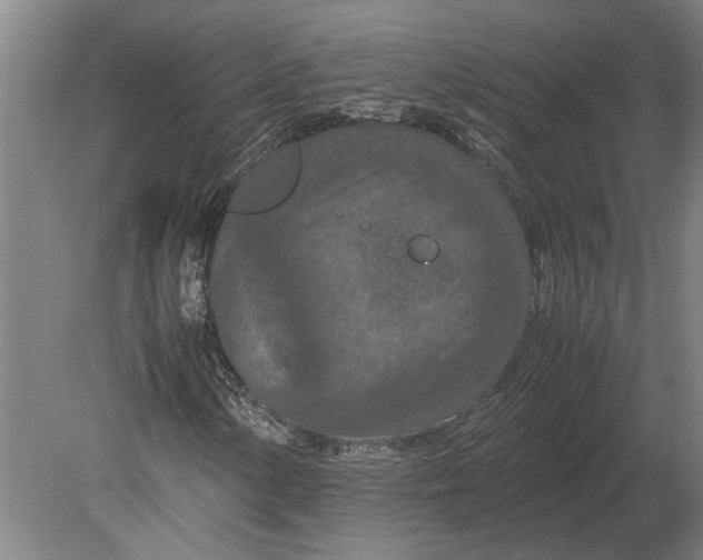 X0000080801154200701051412