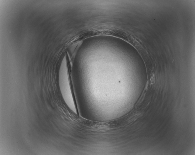 X0000080801156200701051412