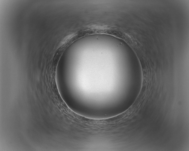 X0000080801157200701051412